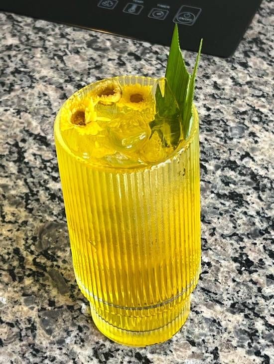 Chrysanthemum panda leaves tea ( Trà hoa cúc lá dứa ).